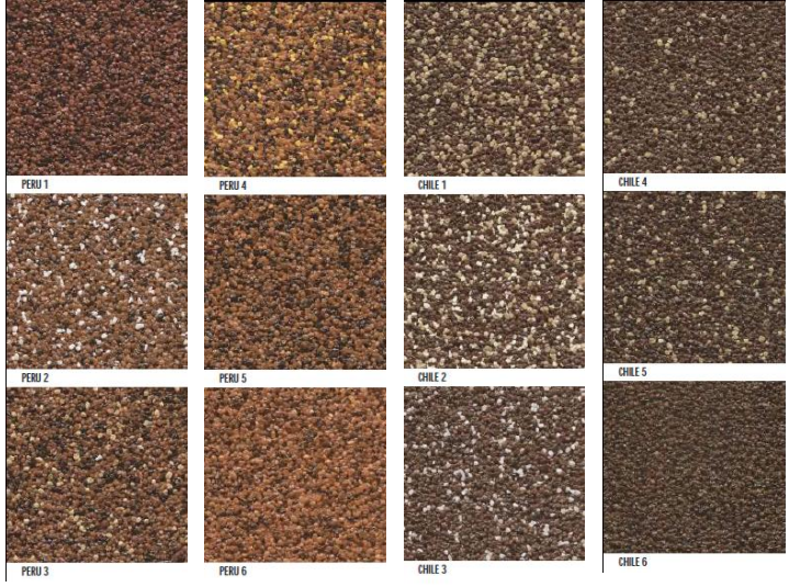 Tynk mozaikowy CERESIT CT177 10kg 1,5mm